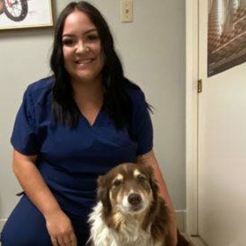 Veterinarian in Phoenix | Vets Near Me | Palo Verde Animal Hospital