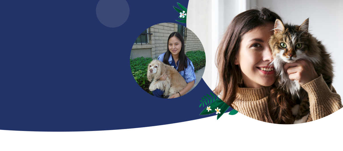 Careers Vet in Phoenix Palo Verde Animal Hospital